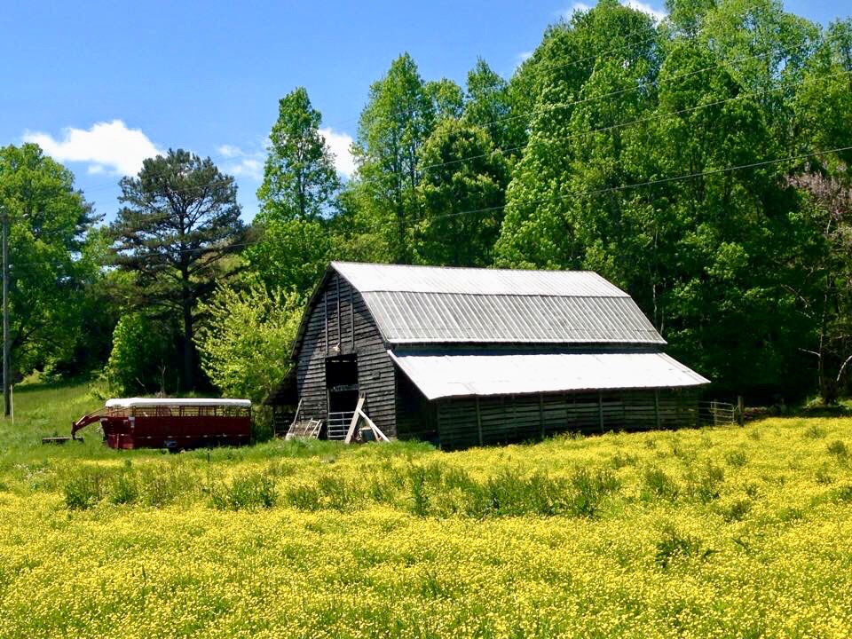 A Barn in a Meadow